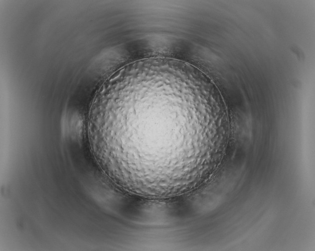 X0000115270123200911131816