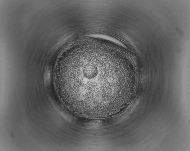X0000115270124200911131816