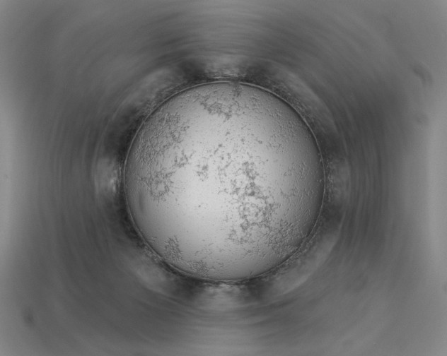 X0000115270125200911131816