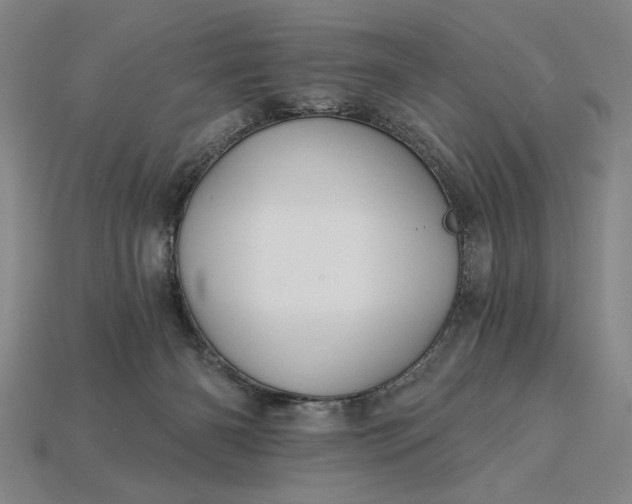 X0000115270126200911131816