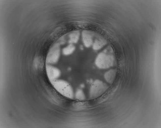 X0000115270129200911131816