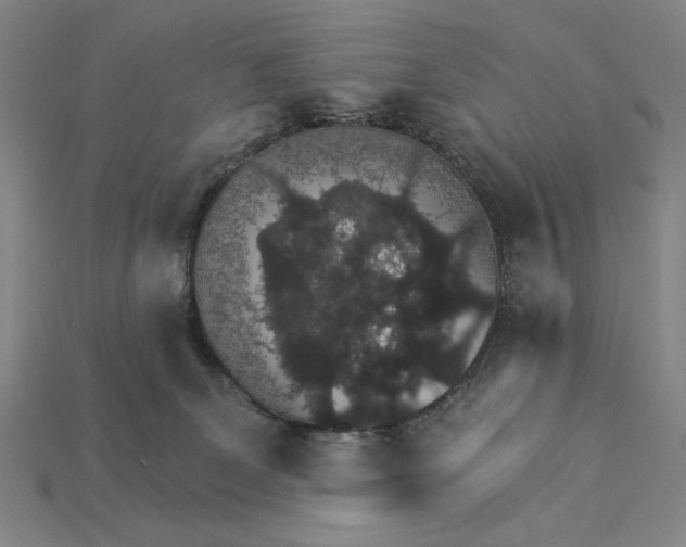 X0000115270131200911131816