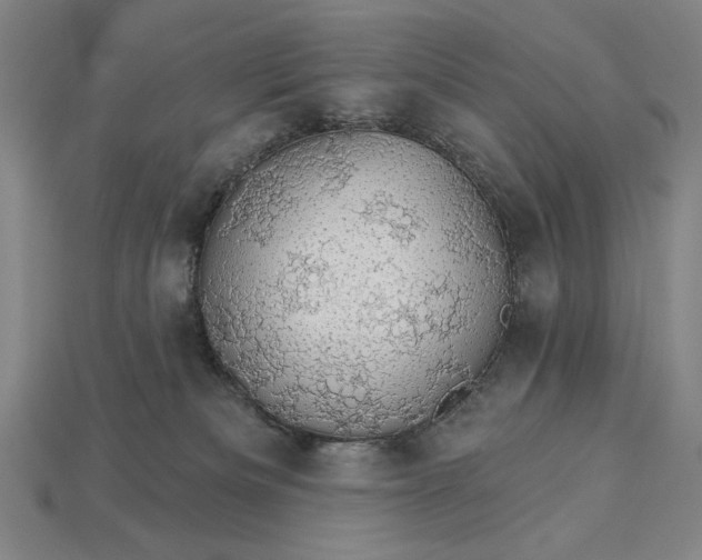 X0000115270133200911131816