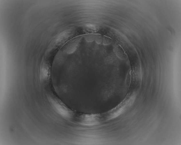 X0000115270134200911131815