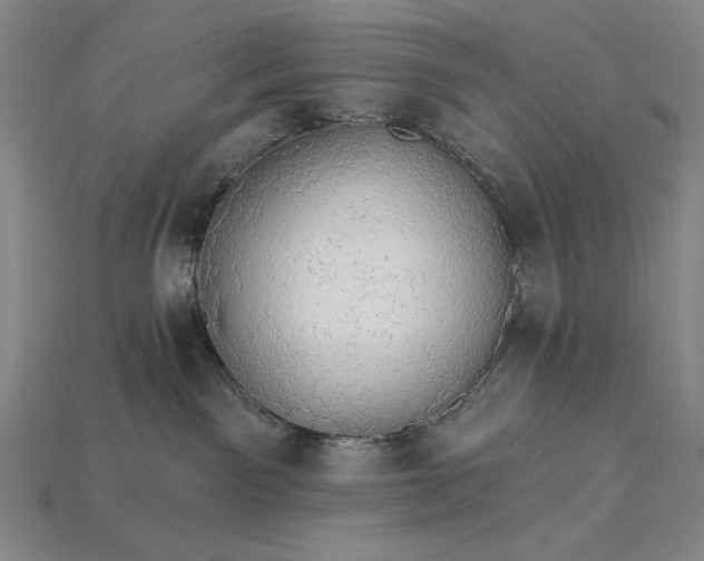 X0000115270141200911131815