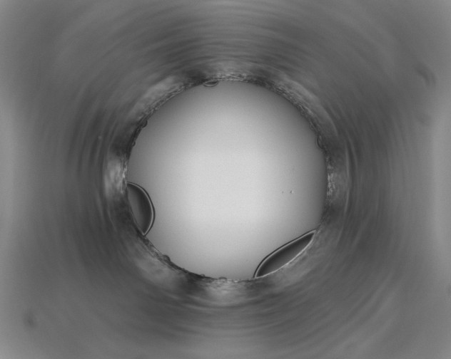 X0000115270142200911131815