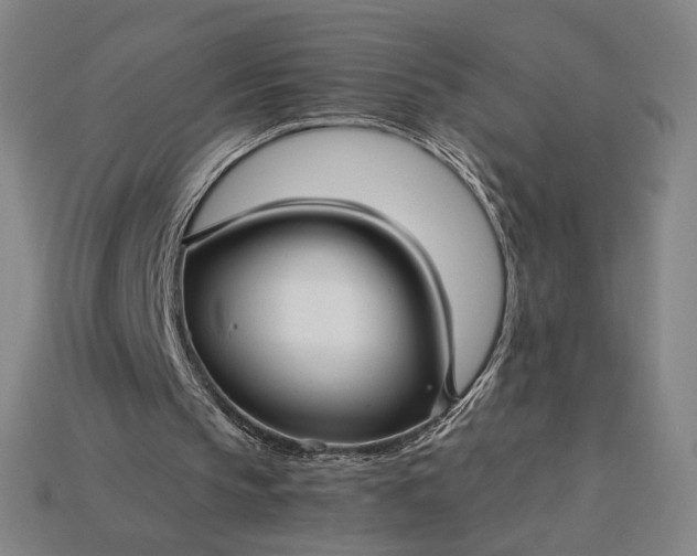 X0000115270145200911131815
