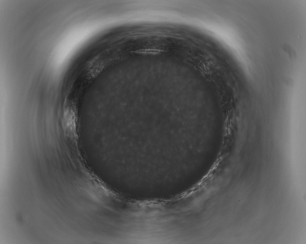 X0000115270146200911131815