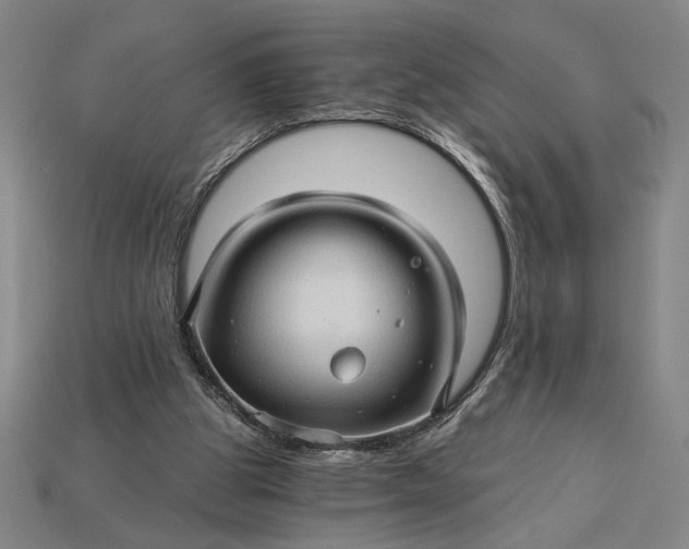X0000115270153200911131815