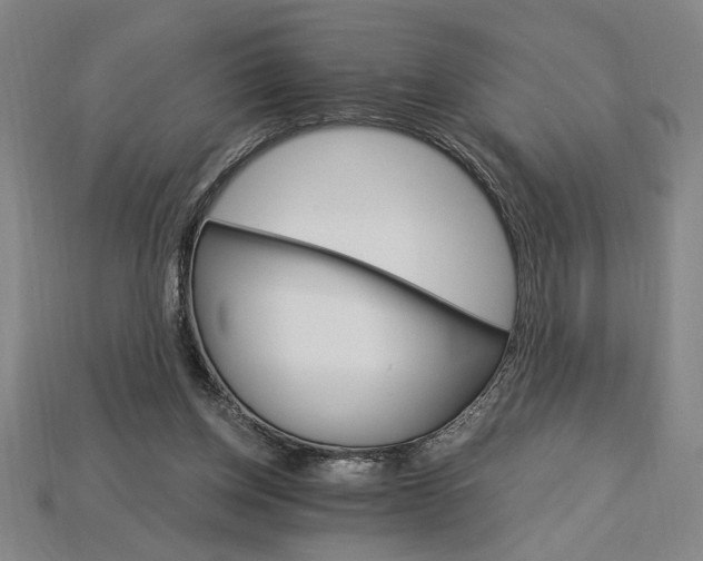 X0000115270158200911131815