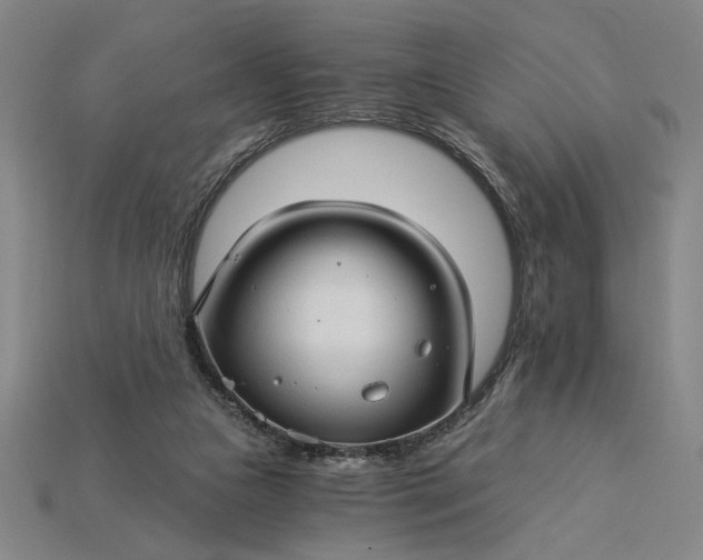 X0000115270161200911131815