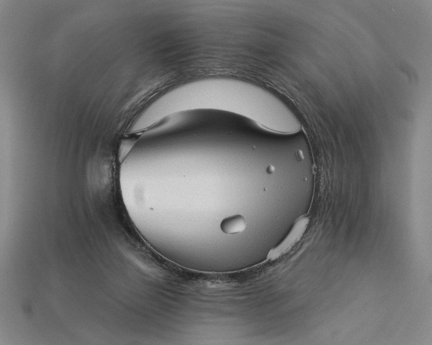 X0000115270165200911131815