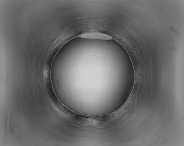 X0000115270166200911131815