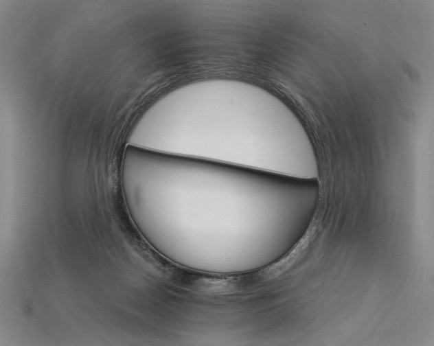 X0000115270170200911131815