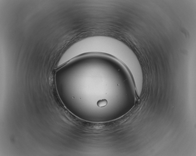 X0000115270173200911131815