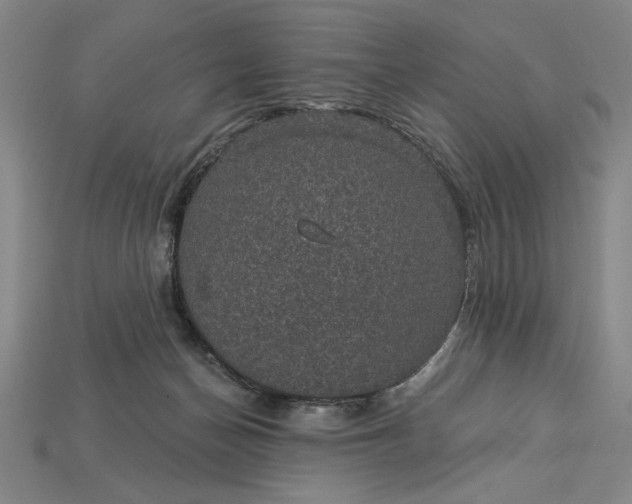 X0000115270174200911131815