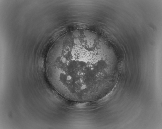 X0000115270178200911131815
