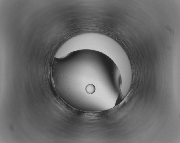 X0000115270179200911131815