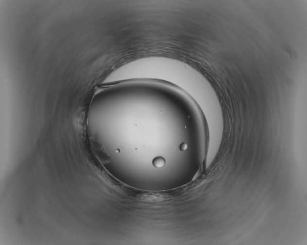 X0000115270181200911131815