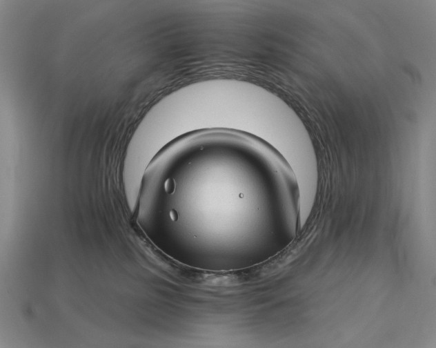 X0000115270185200911131815