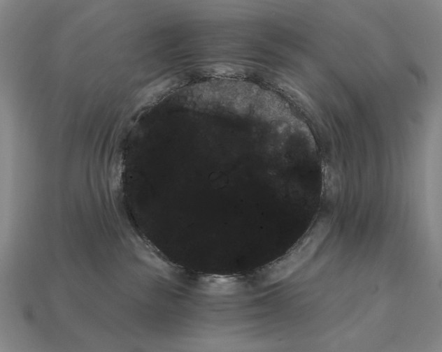 X0000115270189200911131815