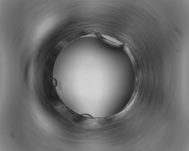 X0000115270190200911131815