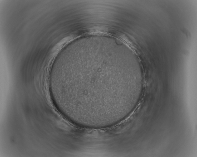 X0000115270193200911131815