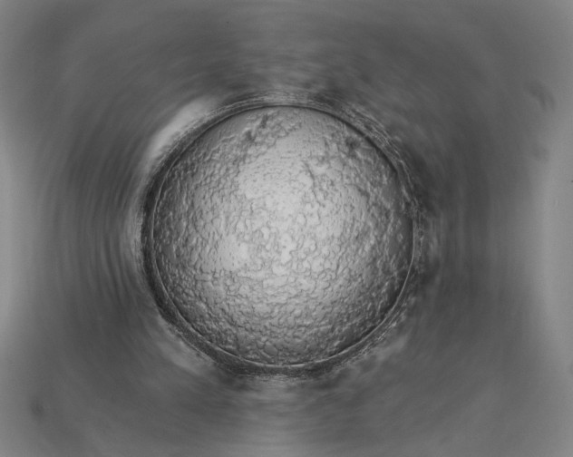 X0000115270197200911131815