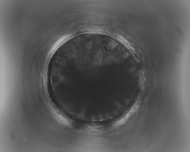 X0000115270199200911131815