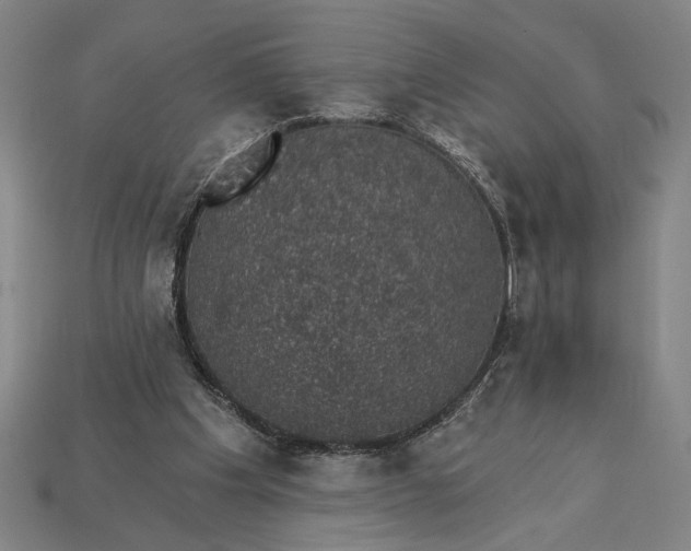 X0000115270201200911131815