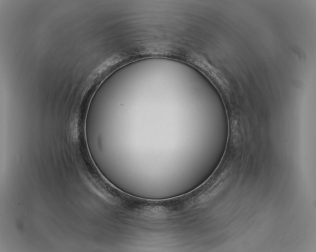 X0000115270203200911131815