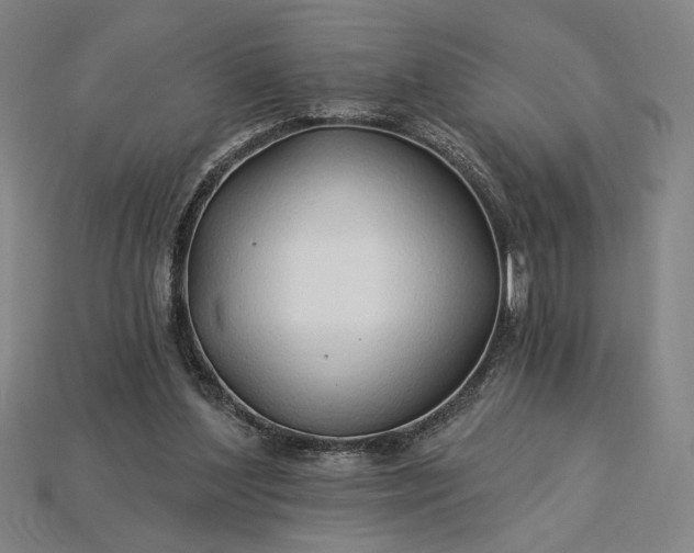 X0000115270204200911131815