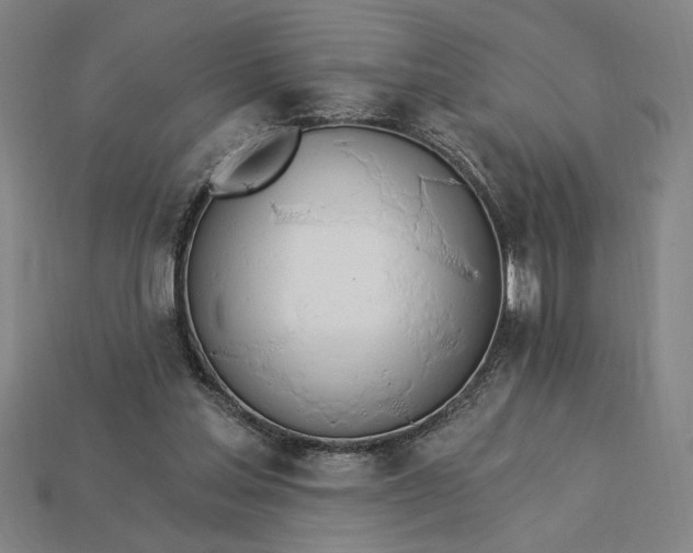 X0000115270205200911131815