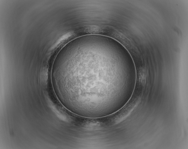 X0000115270206200911131815