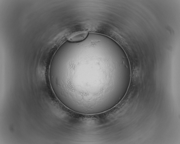 X0000115270209200911131815