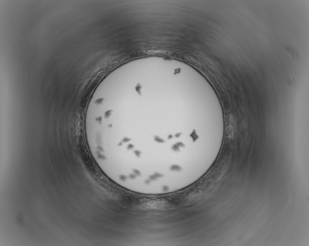 X0000115270210200911131815