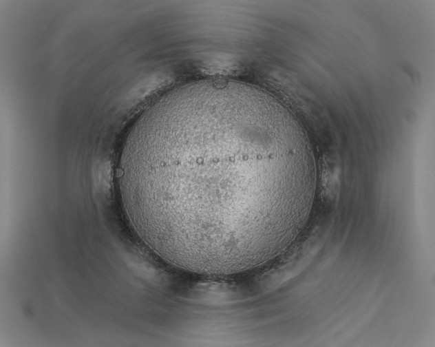 X0000115270211200911131815