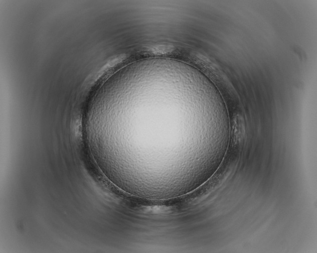 X0000115270212200911131814