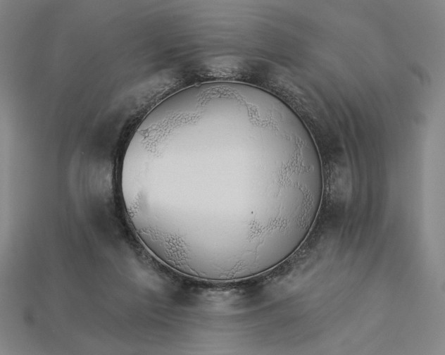 X0000115270213200911131814