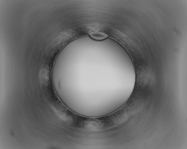 X0000115270215200911131814