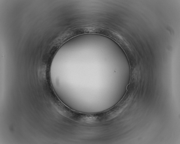 X0000115270217200911131814