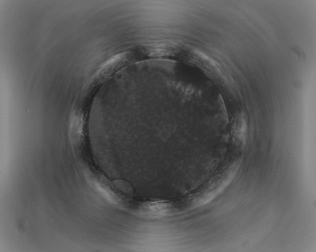 X0000115270219200911131814
