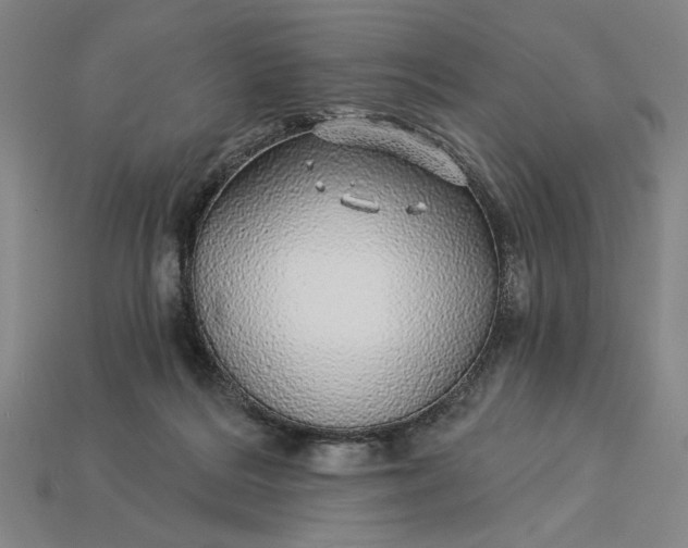 X0000115270220200911131814