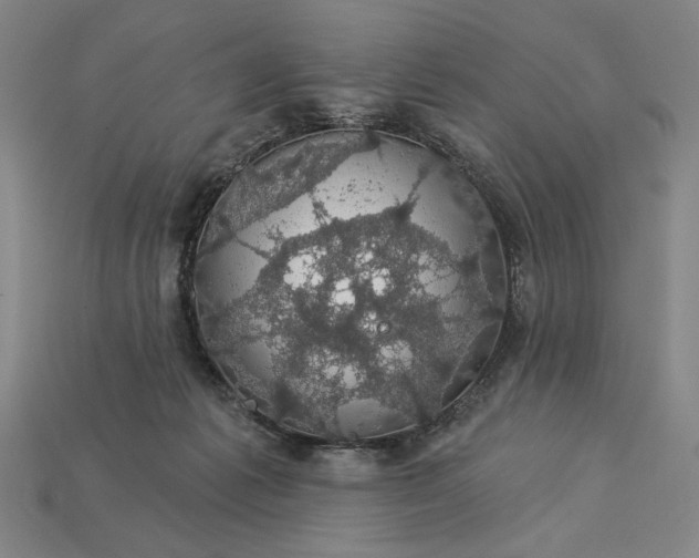 X0000115270221200911131814