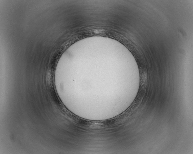 X0000115270222200911131814