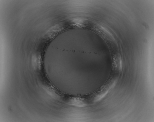 X0000115270223200911131814