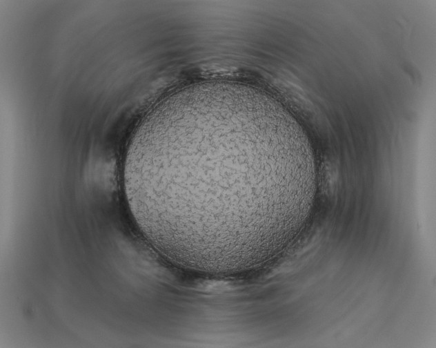 X0000115270224200911131814