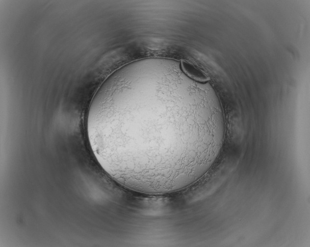 X0000115270225200911131814