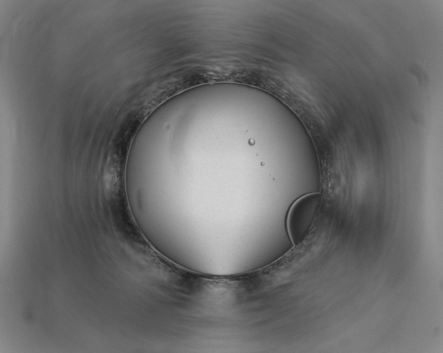 X0000115270226200911131814