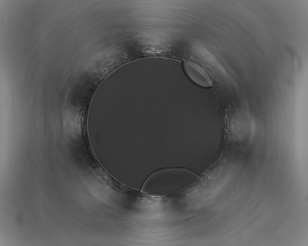 X0000115270227200911131814